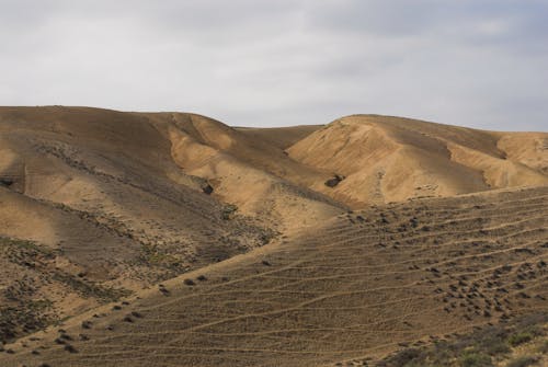 Foto d'estoc gratuïta de àrid, desert, dunes