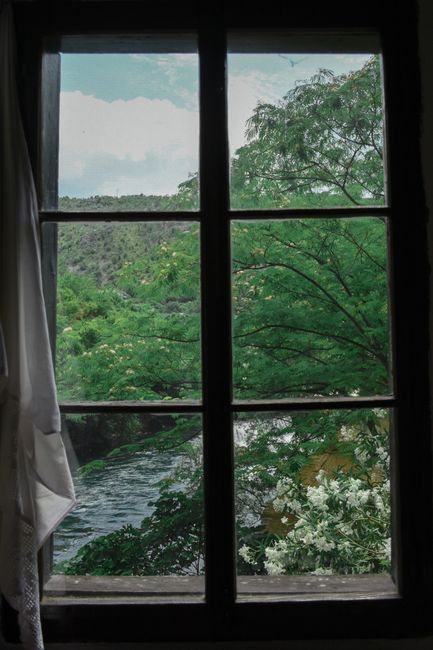 Idyllic view of lush greenery and flowing stream through a rustic window frame.