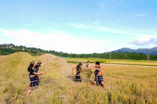 People Playing On Field