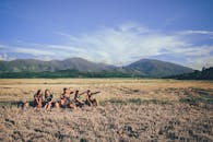 Five Persons Sitting on Grass Field