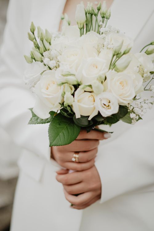 Free A close-up of a bride holding a beautiful white rose bouquet on her wedding day. Stock Photo