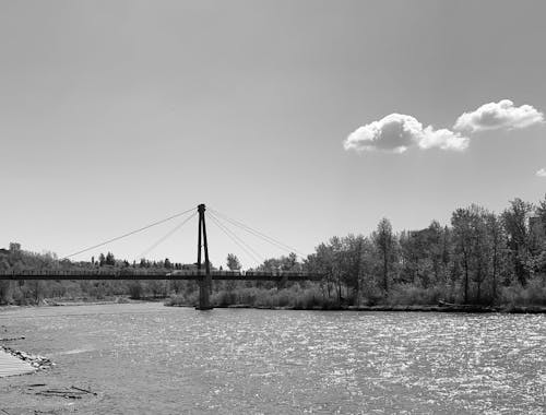 Free stock photo of black and white, foot bridge, summer