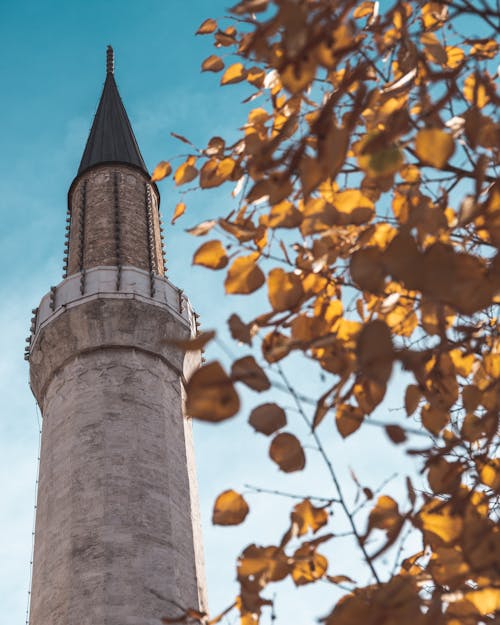 Foto De Baixo ângulo Da Torre