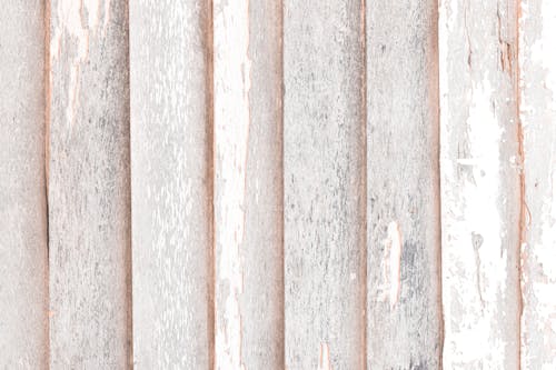 White Wood Texture background. Old wood.