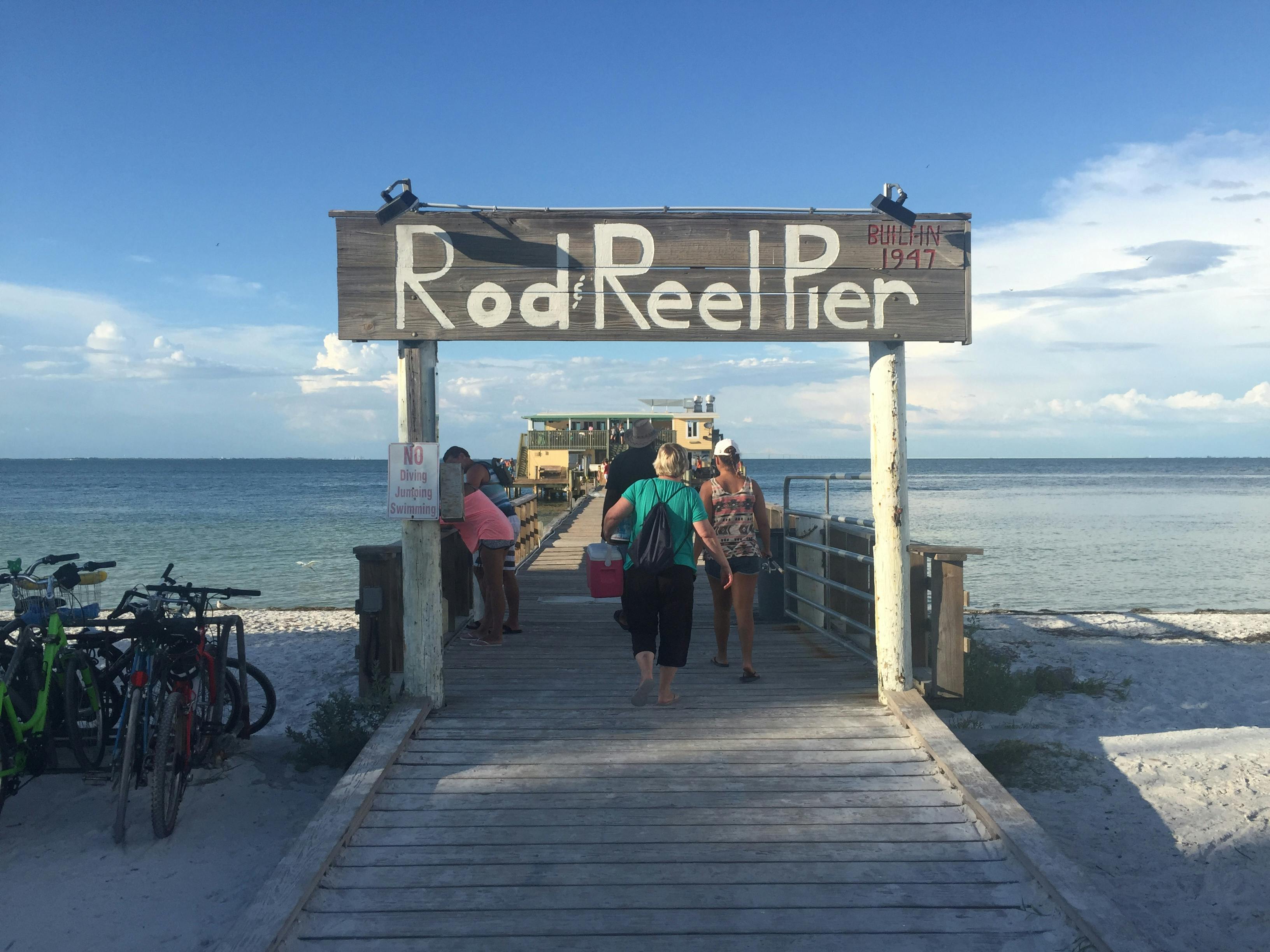 Free stock photo of anna maria island, fish, florida