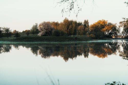 Ilmainen kuvapankkikuva tunnisteilla heijastus, ilta, metsä