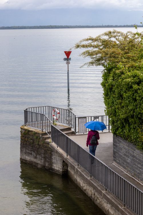 Free A person with a blue umbrella walks along a rainy lakeside path beside lush greenery. Stock Photo