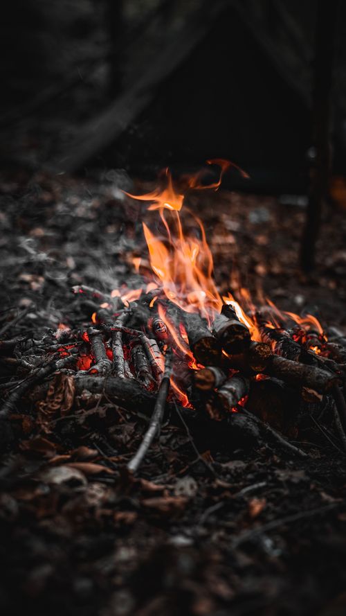 Free Close-up of a campfire burning in a forested area at night, perfect for camping enthusiasts. Stock Photo