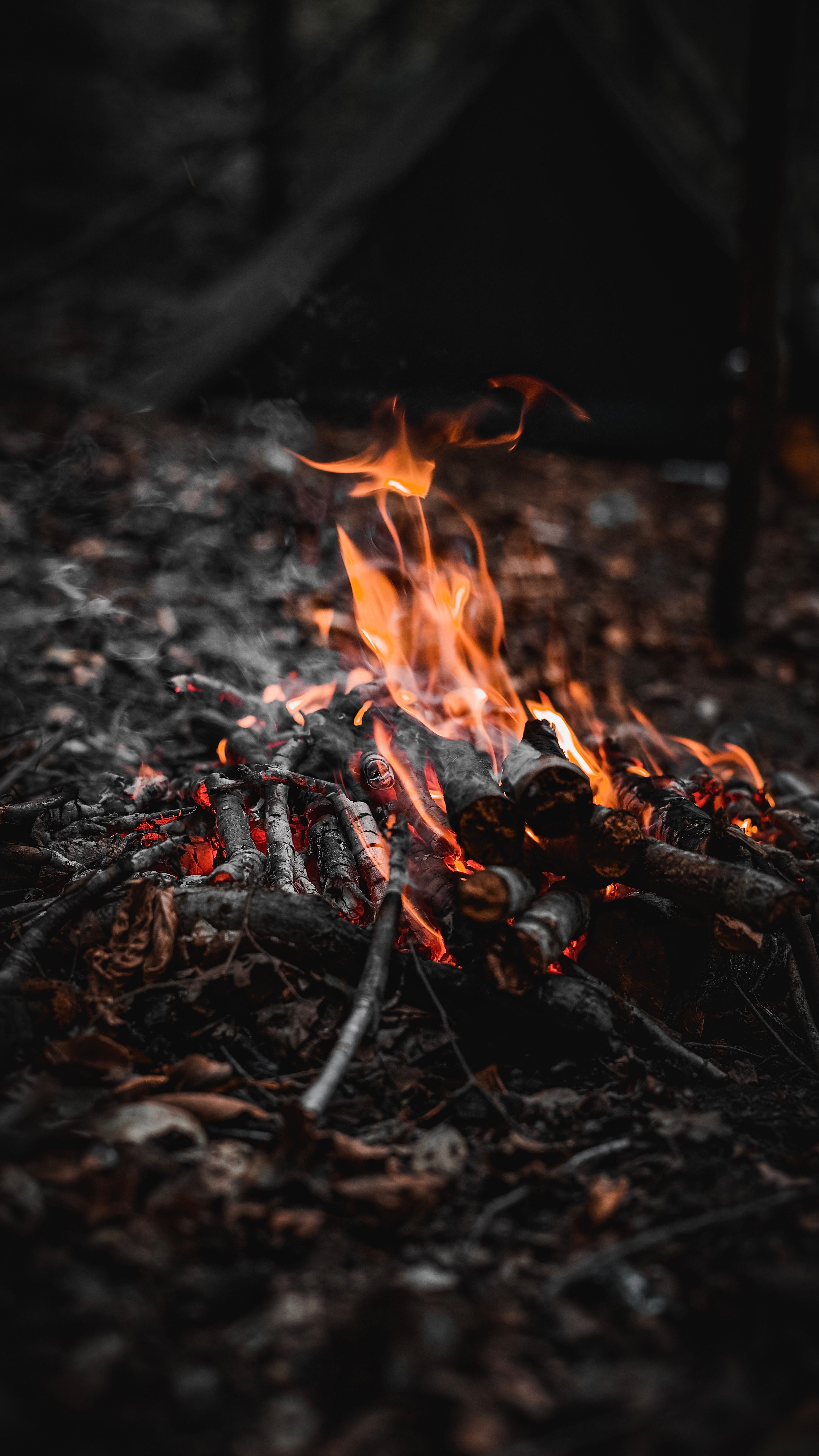 Free Stock Photo Of 4K Wallpaper, 8K Wallpaper, Ad Campaign, Amazon  Rainforest, Ash, Black Forest, Blaze, Bonfire, Burn, Bushcraft, Camp, Camp  Fire, Campfire, Charcoal, Cloud Forest, Coal, Coal Fuel, Danger, Dark Forest