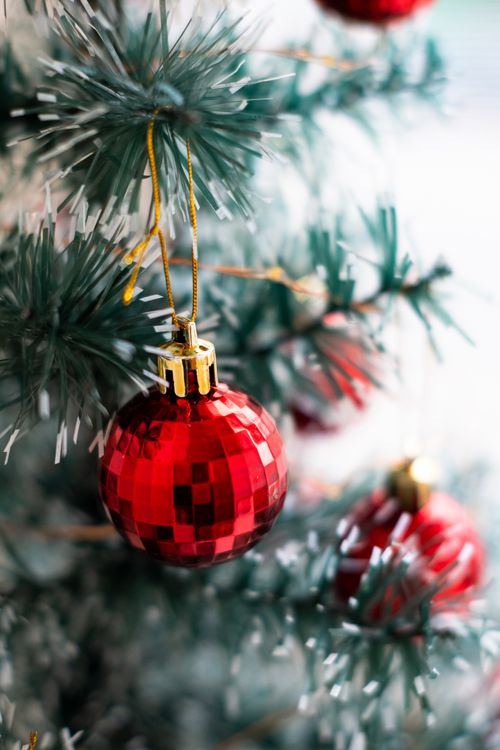 Free Bright red Christmas bauble adorning a green conifer branch, featuring a festive holiday atmosphere. Stock Photo