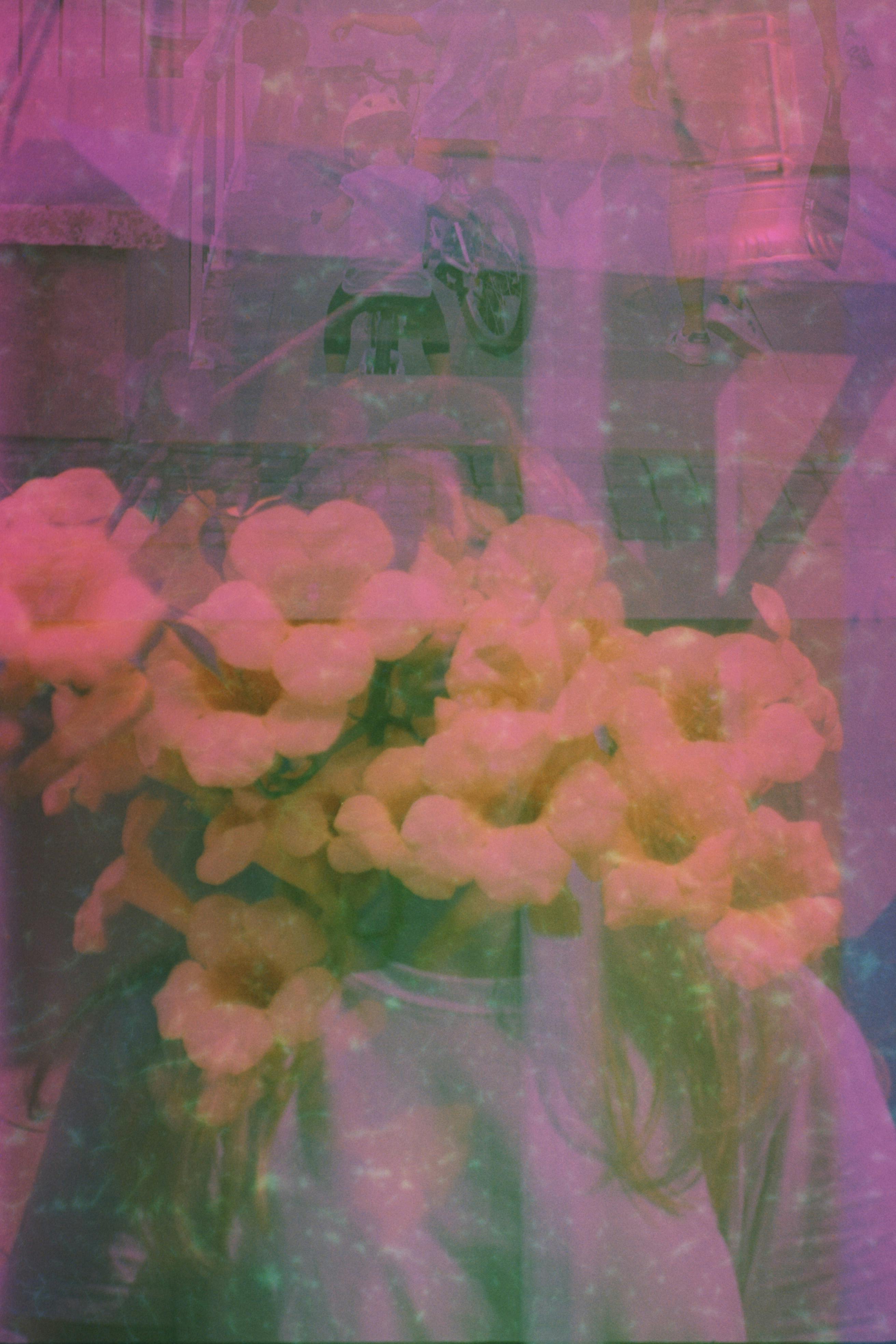 Dreamy double exposure blending flowers and a girl's reflection.
