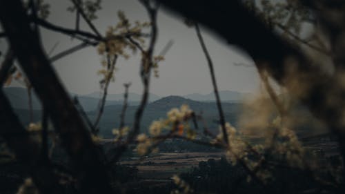 Základová fotografie zdarma na téma hory, tmavý