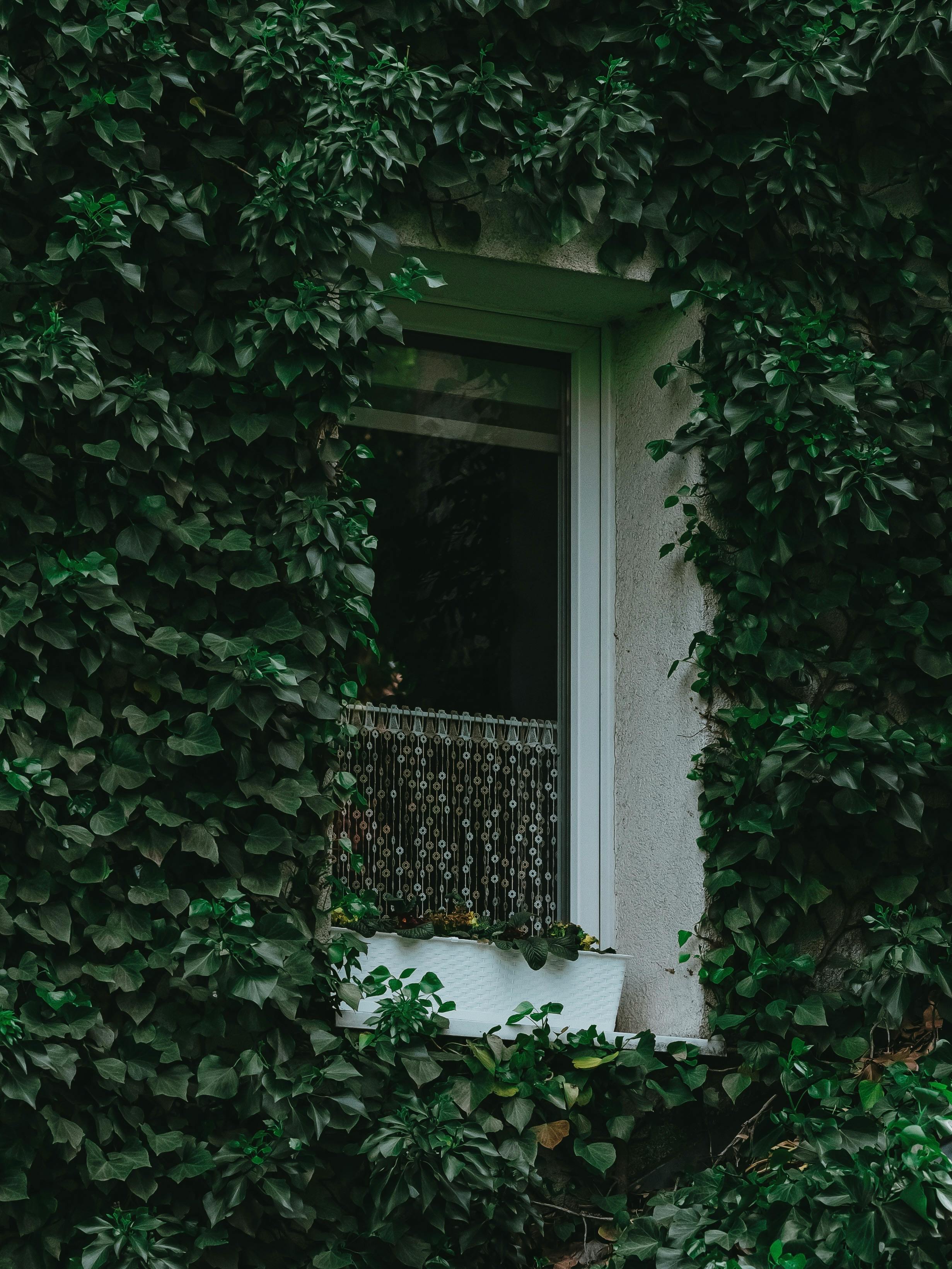 Folding Bicycle Under a Barred Window · Free Stock Photo