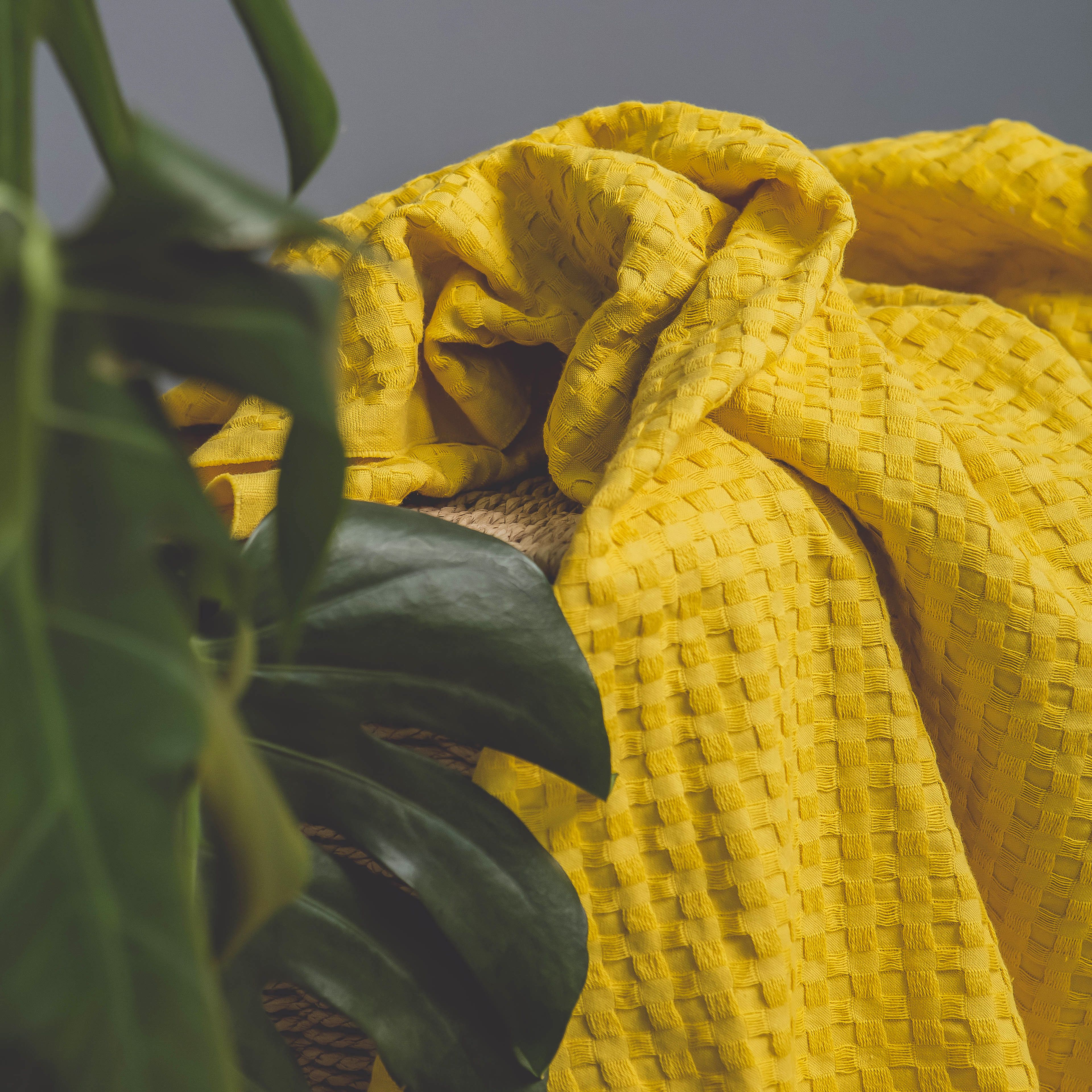 Cotton Waffle Throw