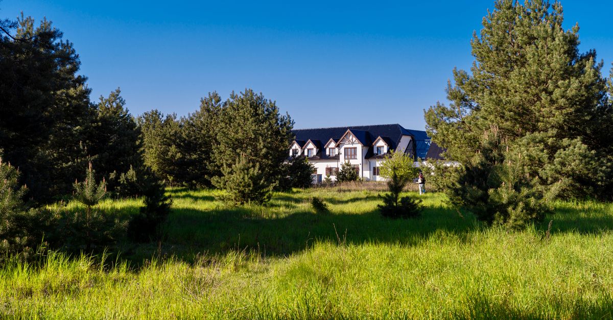 A beautiful house nestled in a lush green meadow surrounded by tall pine trees under a clear blue sky.