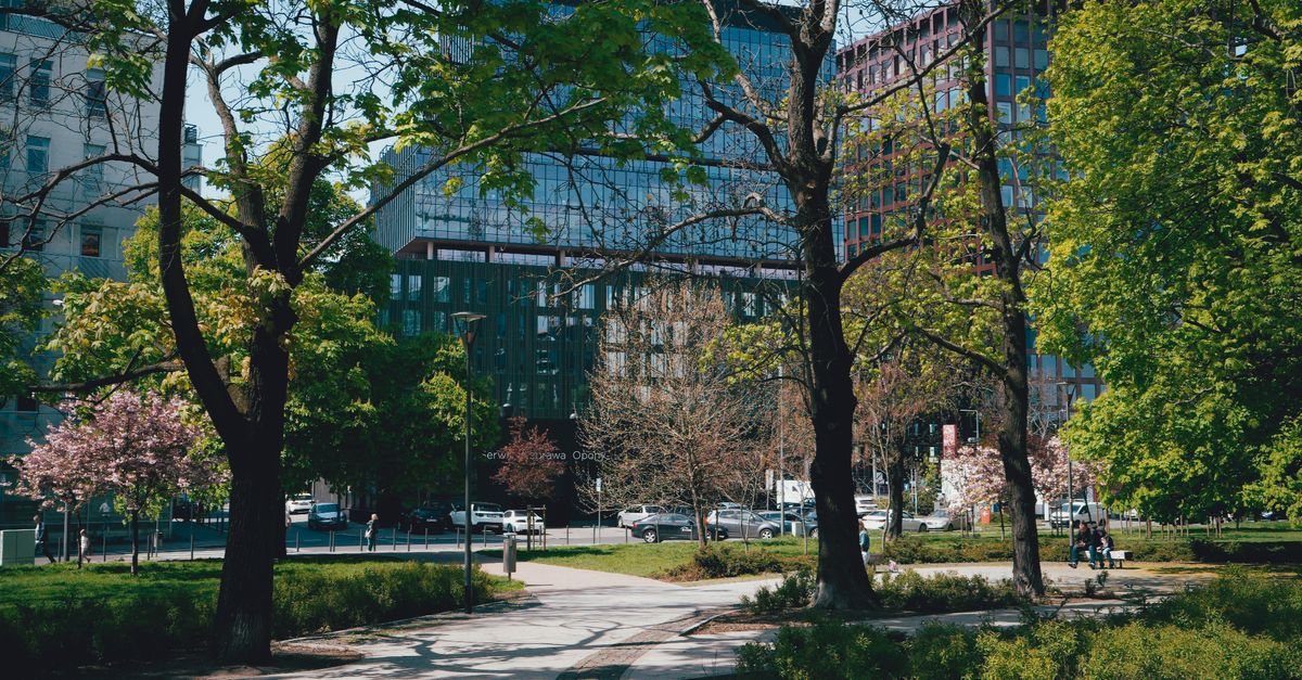 A city park with lush trees and modern buildings in the background, creating a serene urban oasis.