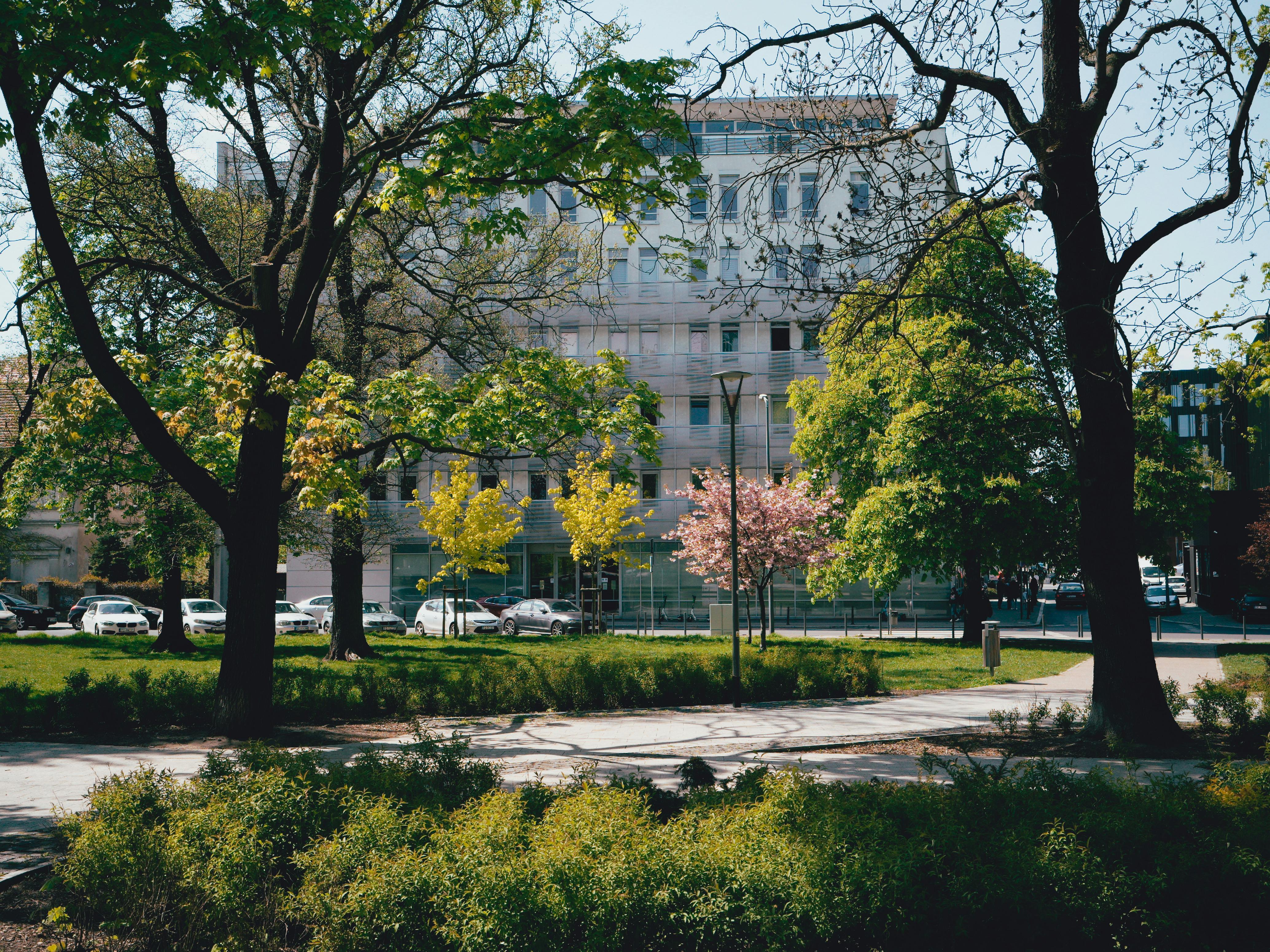 Cleveland Clinic main campus adds Saturday elective surgery hours — Photo by Egor Komarov on Pexels