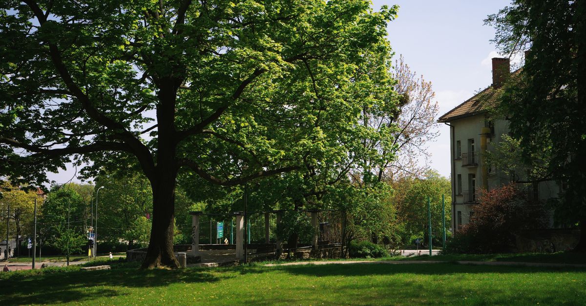 Galerija