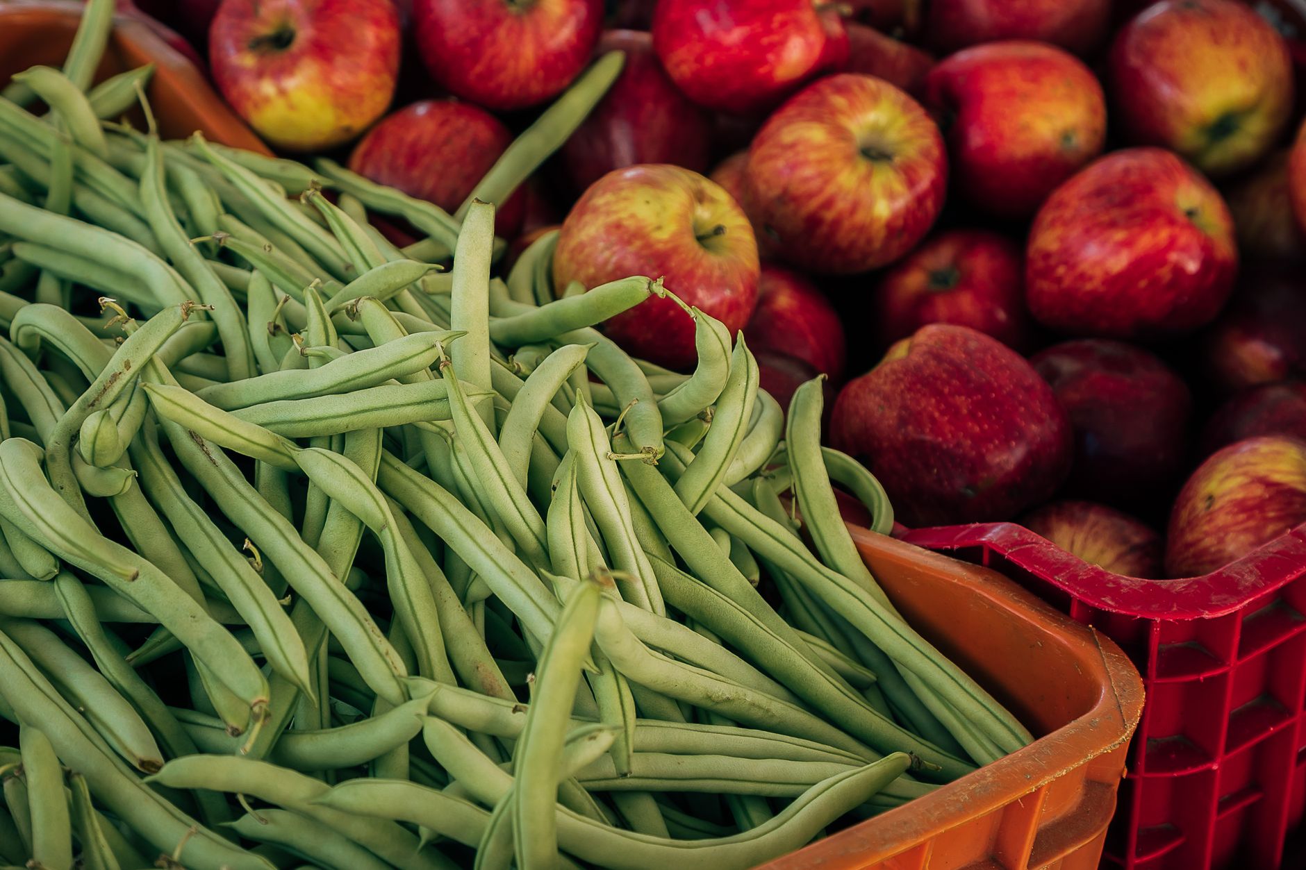 Sanford Farmers Market in Historic Downtown Sanford