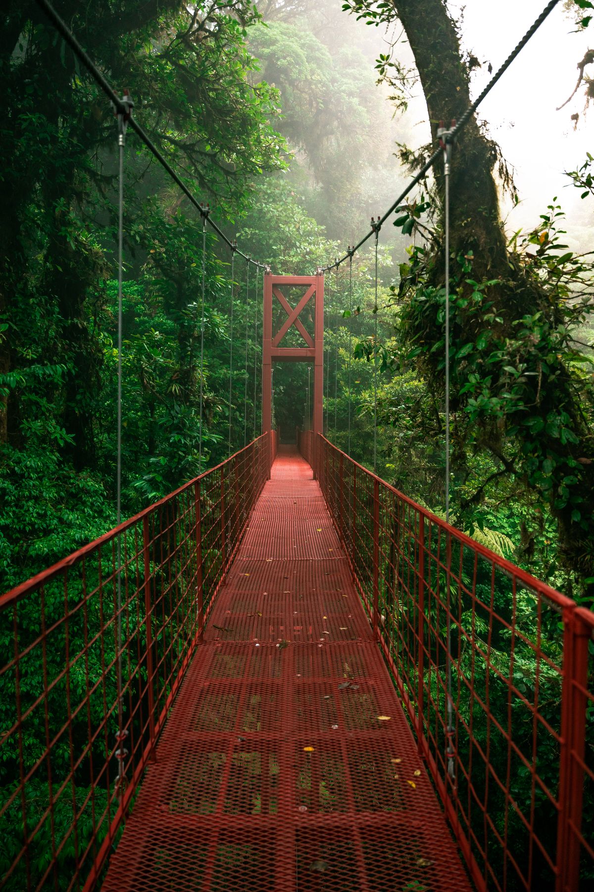 A red suspension bridge over the Monteverde cloud forest