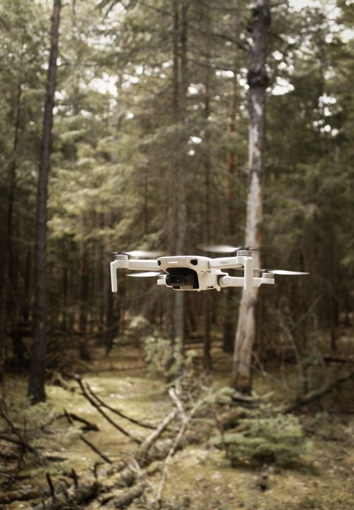 Free Compact drone flying through a dense green forest, showcasing technology and nature. Stock Photo