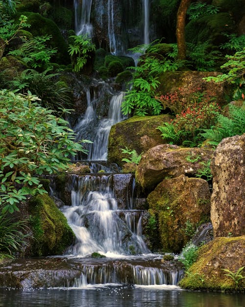 Бесплатное стоковое фото с вертикальный выстрел, водопад, джунгли