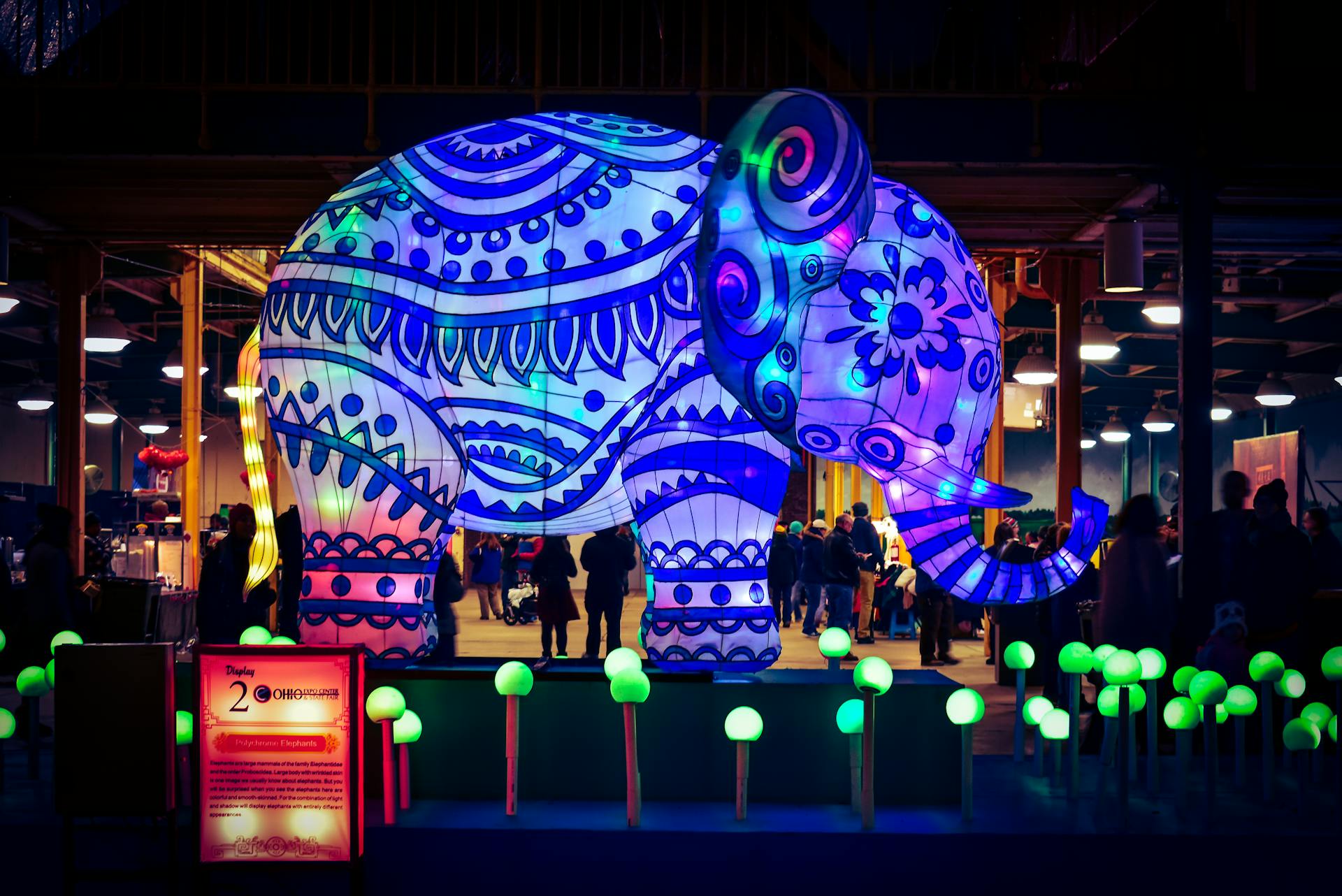 Blue and Green Elephant With Light