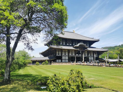 Základová fotografie zdarma na téma architektura, Asie, buddhismus