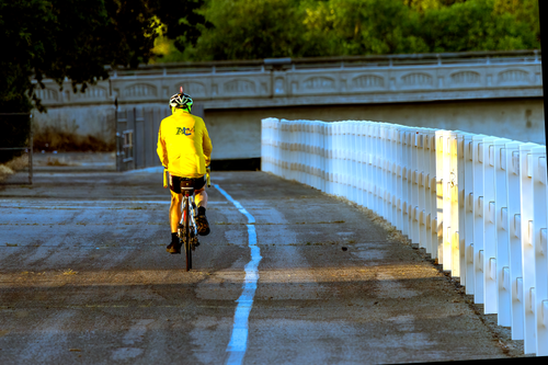 Free A cyclist in a yellow jacket rides on a city path with white railings. Stock Photo