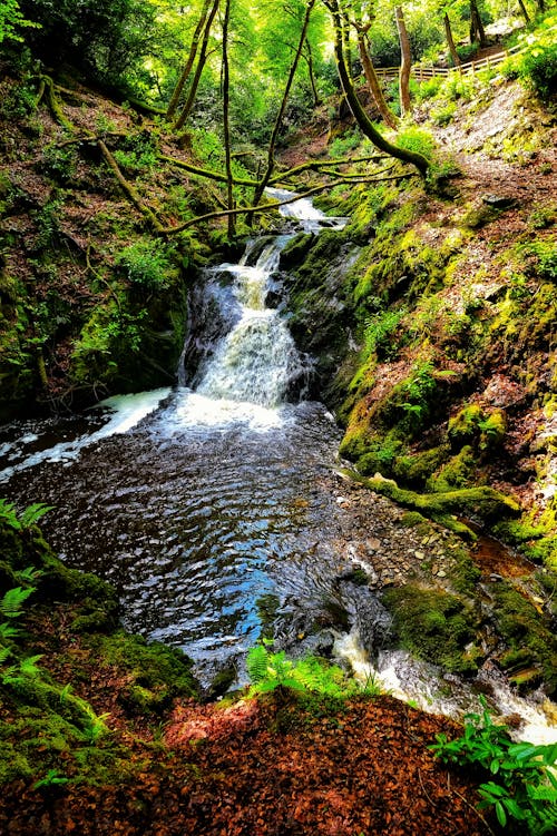 Foto d'estoc gratuïta de aigua, cascada, esquitxada