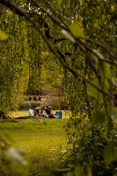 A serene summer day in the park with people lounging on the grass among trees.