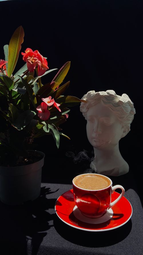 Free A steaming cup of coffee with red floral decor and a classic sculpture head. Stock Photo