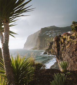 探索马德拉崎岖而郁郁葱葱的海岸线，那里有引人注目的悬崖和繁茂的植被