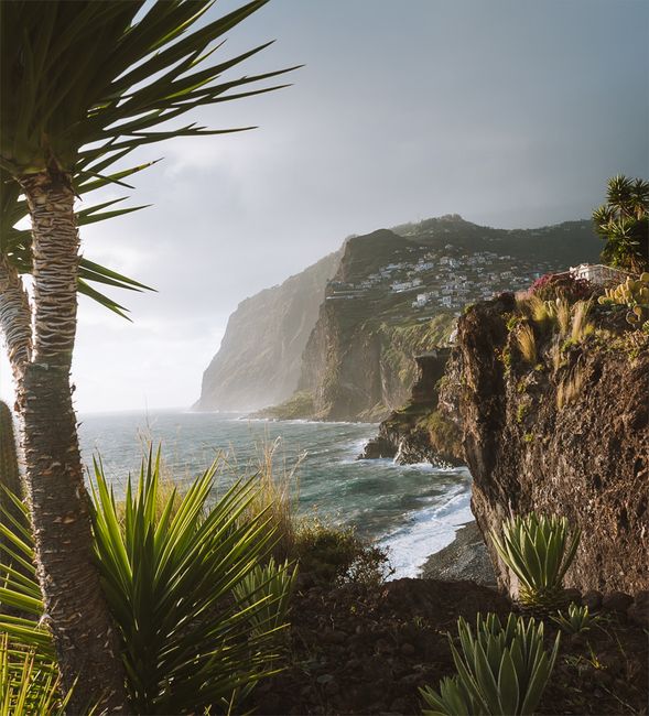 Tasmania's Untamed Beauty: An Island Paradise Tasmania's Untamed Beauty: An Island Paradise