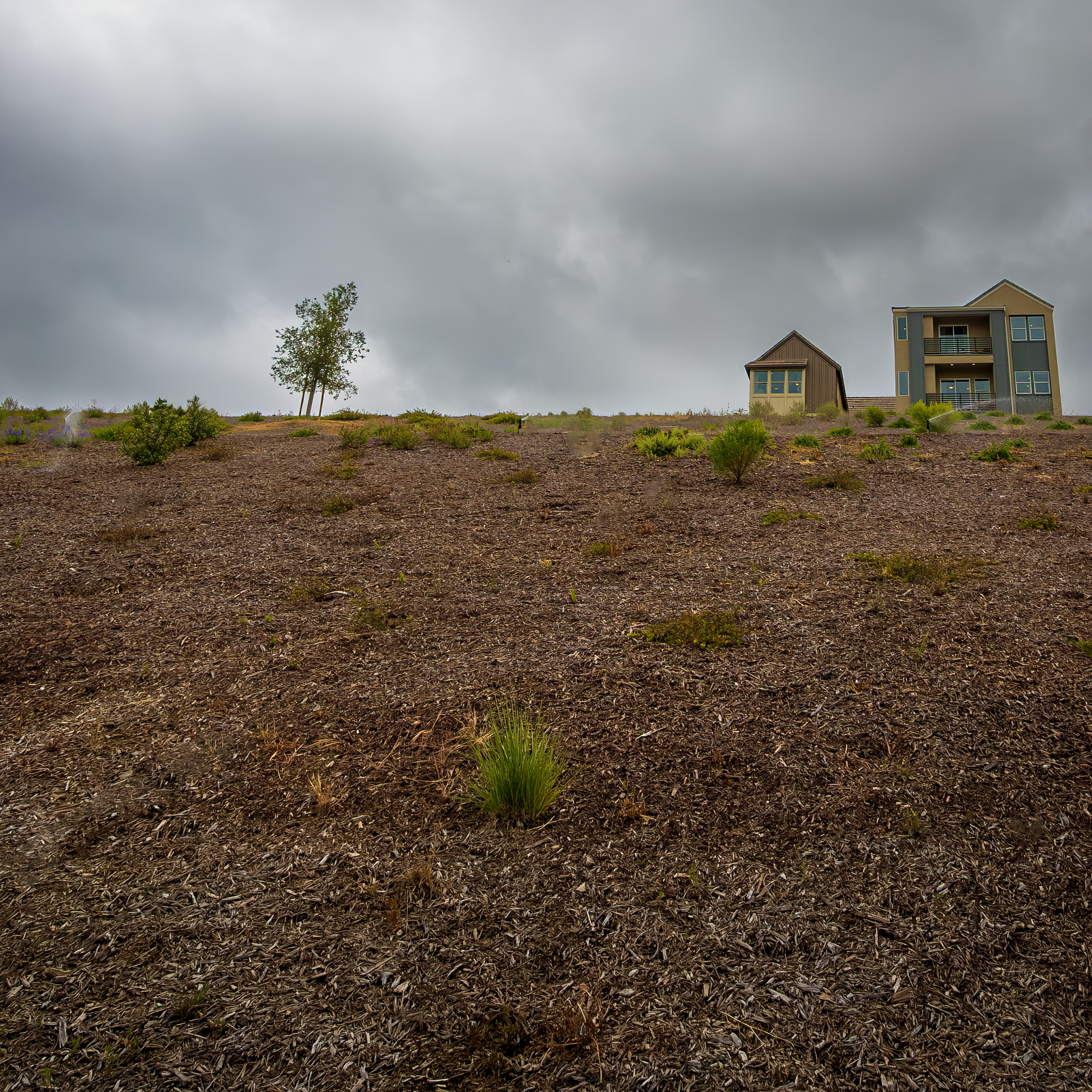 Low angle view of houses on a hill against a cloudy backdrop, showcasing rural living.