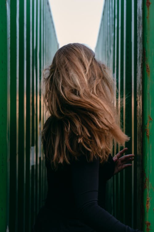 Fotobanka s bezplatnými fotkami na tému blondína, pasca, pohľad zozadu