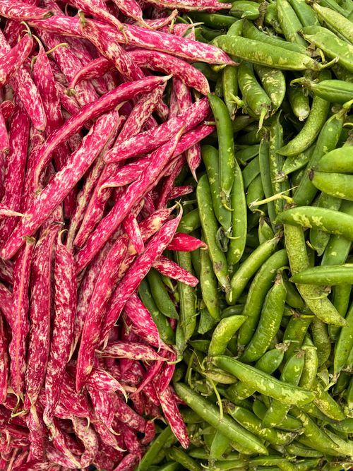 Free Colorful display of fresh green and red beans in a market setting, showcasing vibrant produce. Stock Photo