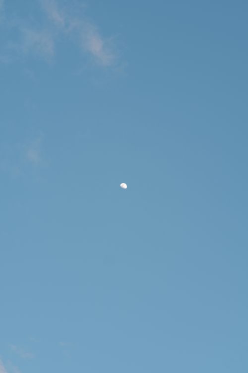 Free A half moon visible in a clear blue sky during the daytime, with minimal clouds. Stock Photo