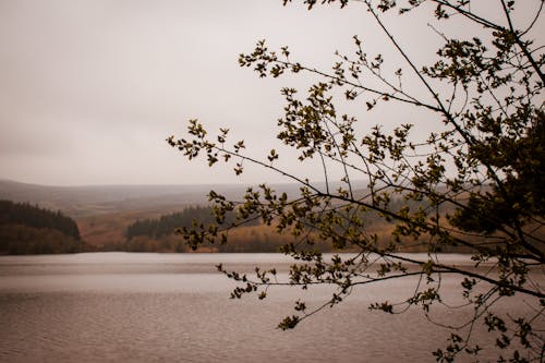 Základová fotografie zdarma na téma jezero, krajina, mlha