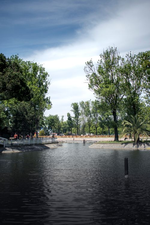 Free Serene view of a park lake surrounded by lush trees and a calm atmosphere. Stock Photo