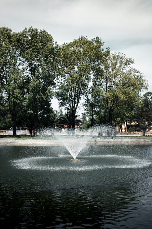 Gratis lagerfoto af afslapning, lodret skud, park