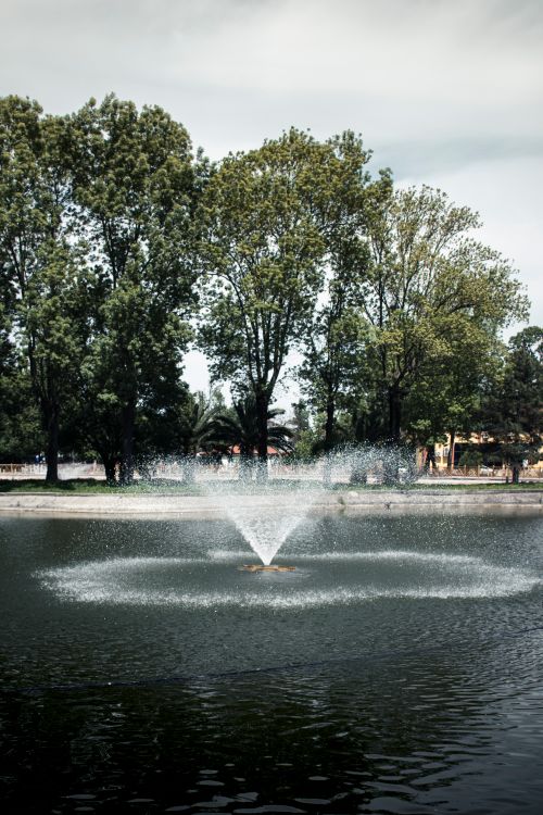 Free Serene urban park fountain with trees reflected on pond water, perfect for relaxation. Stock Photo