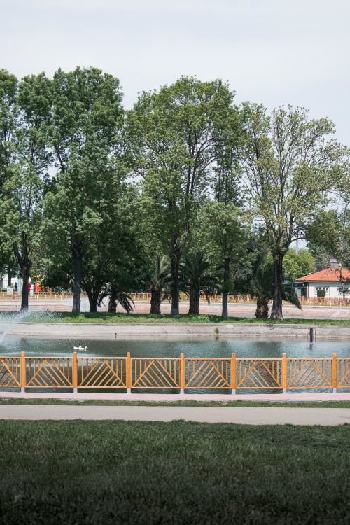 Free Peaceful park view with a pond, fountains, and lush greenery under a summer sky. Stock Photo