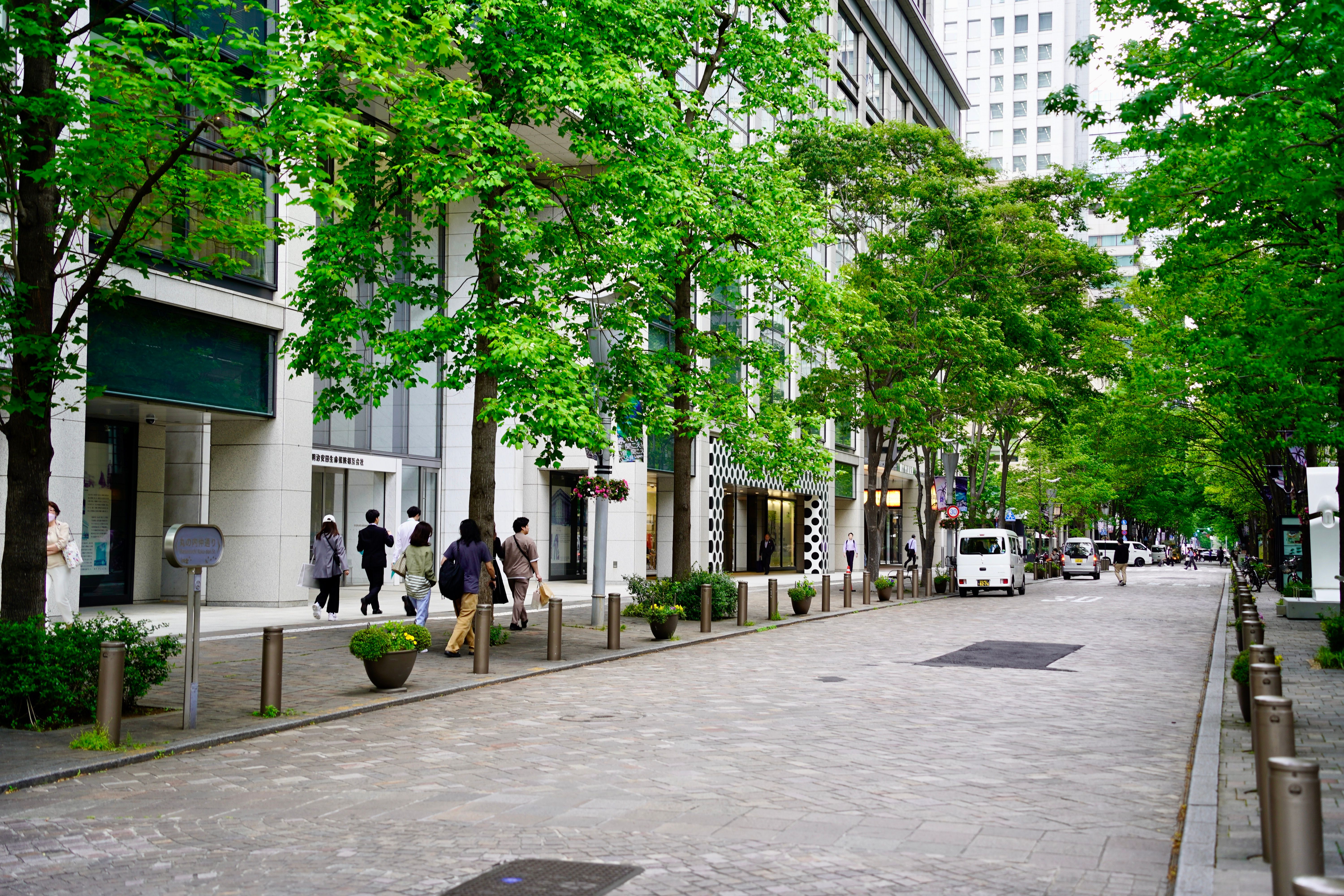 Are Any U.S Cities Running Completely on Green Energy? Just 3 — Photo by Troy Guo on Pexels
