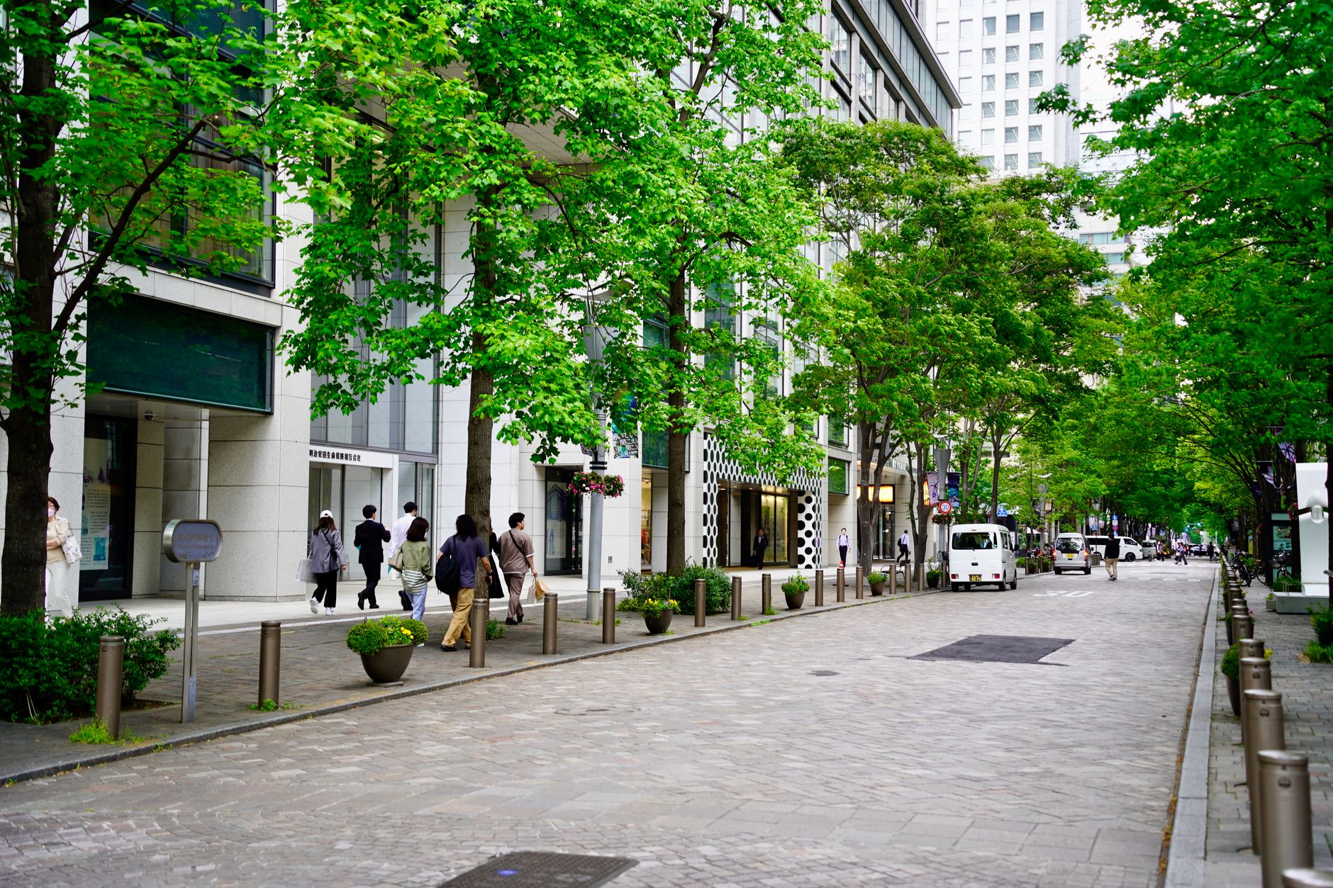 Asahikawa — Street, Asahikawa