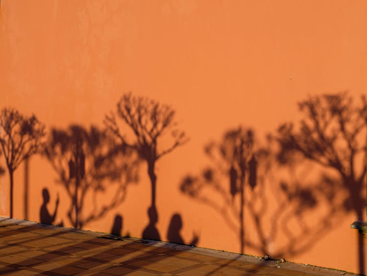 Shadows Of People And Trees On Building Wall