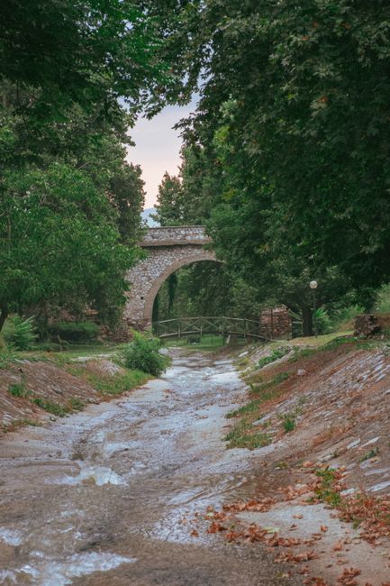 Charming stone bridge arching over a tranquil stream amidst lush green forest scenery.