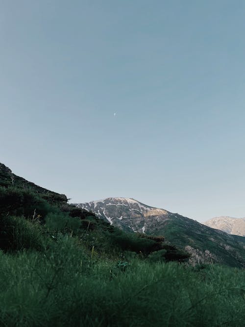 Darmowe zdjęcie z galerii z góry, krajobraz, las
