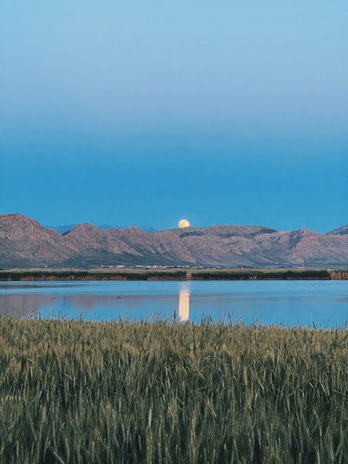 Peaceful scene of mountains reflecting in a lake under a blue sky.
