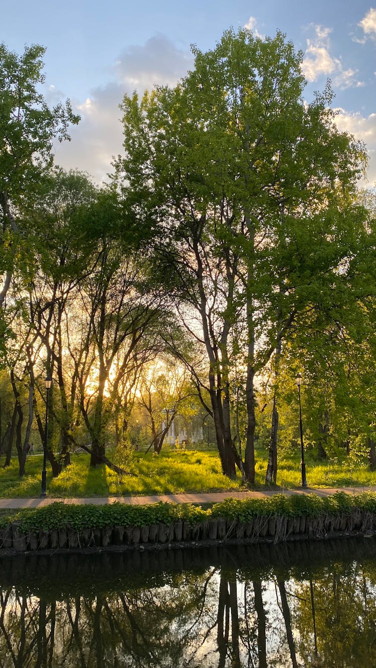 Park At Sunrise